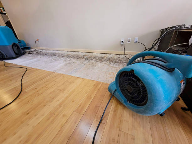 Reliable Basement Flood Cleanup contractor in Kiester, MN by Hirex Water Damage