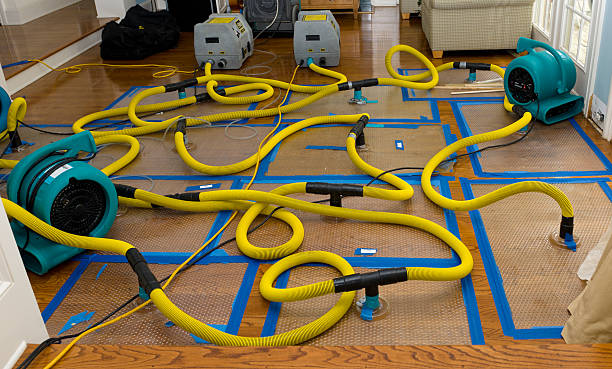Professional Basement Flood Cleanup technician working in Kiester, MN